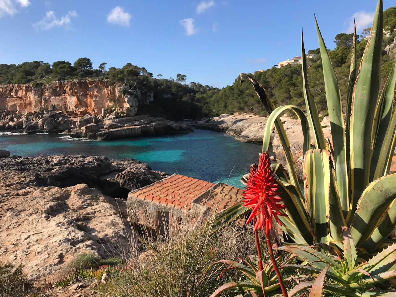 Things to do in Mallorca in Winter Mallorca Secrets Blog